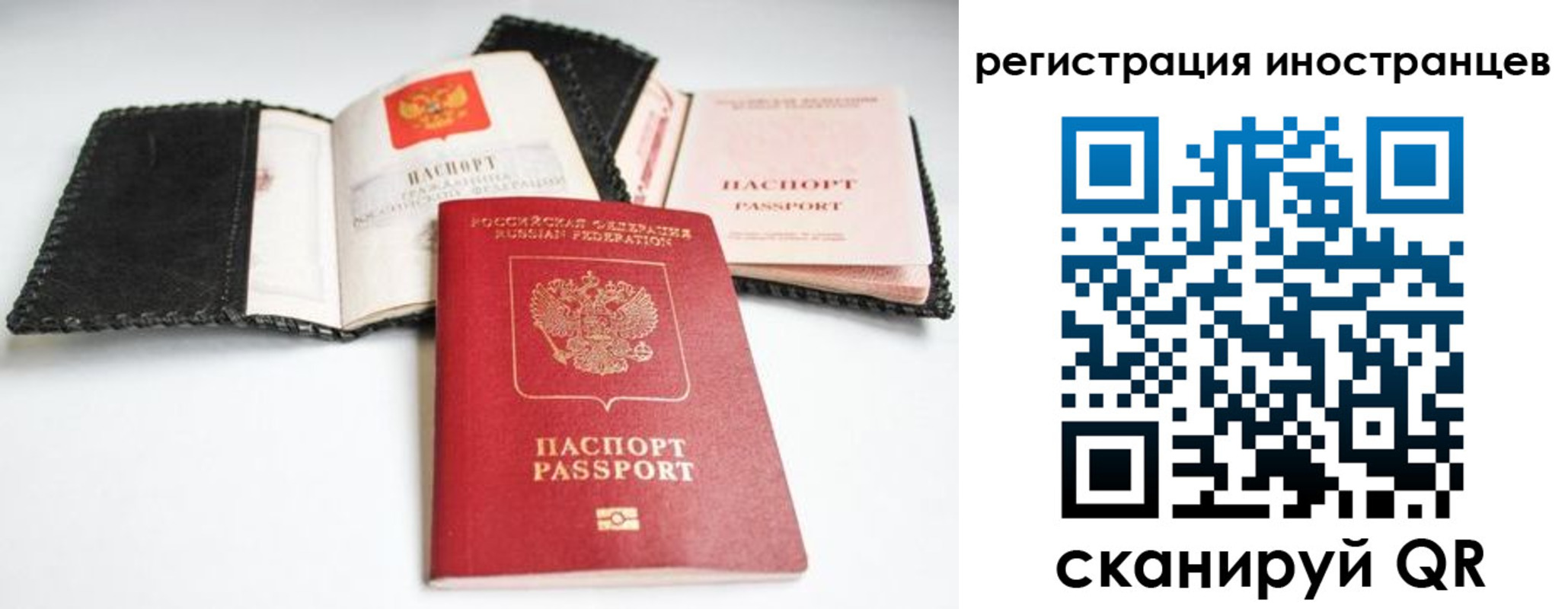 прописка гарантия в Опочке